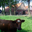 Weekendje weg - Luxueus overnachten op Twentse boerderij