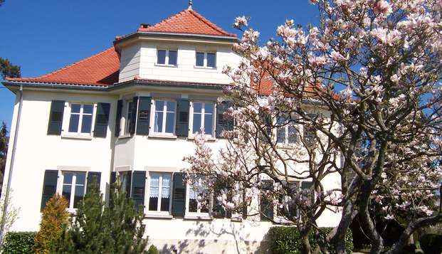 hotel La TirelireCosswiller (67)