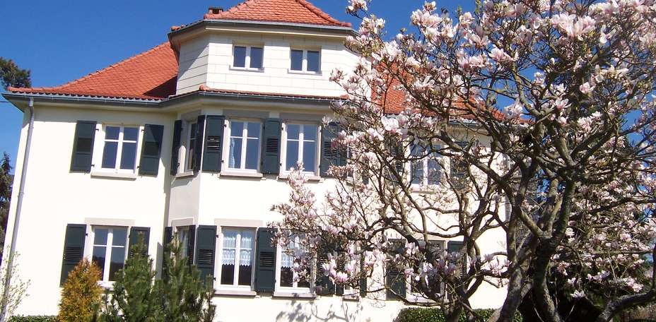 La Tirelire - 