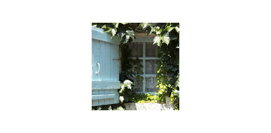 Château Bellevue  - 