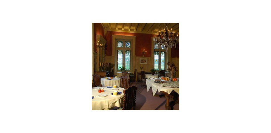 Château de Nieuil  - 
