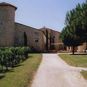 Vie de château et dégustation près de Gaillac