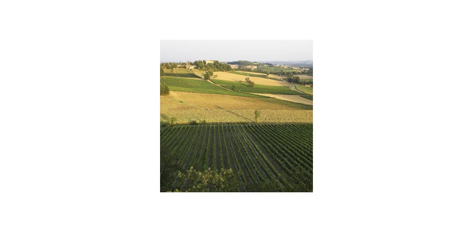 Château de Salettes - 