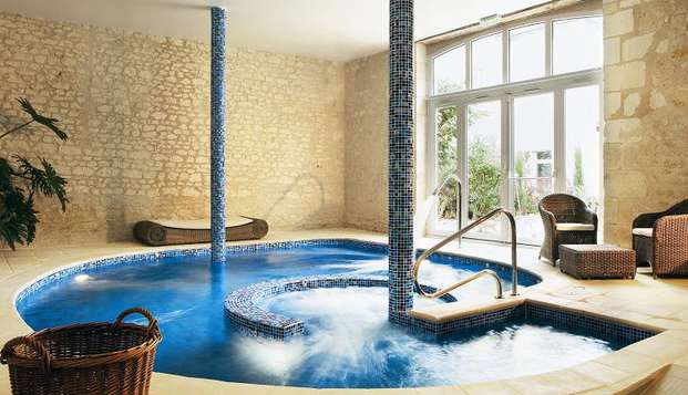 hotel Hostellerie les Hauts de Sainte-Maure Saint Michel sur Loire (37)