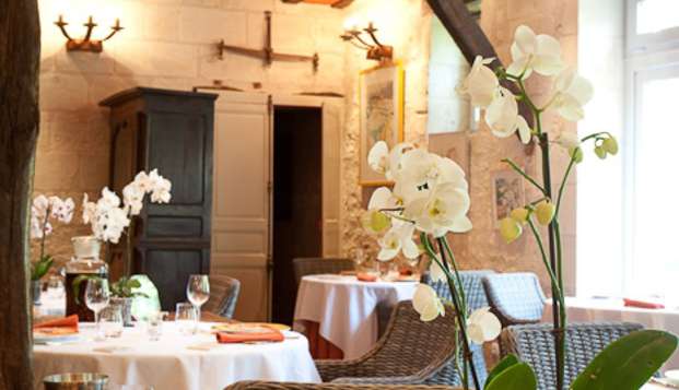 hotel Hostellerie les Hauts de Sainte-Maure Saint Michel sur Loire (37)