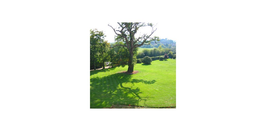 Château de la Vallée Bleue  - 