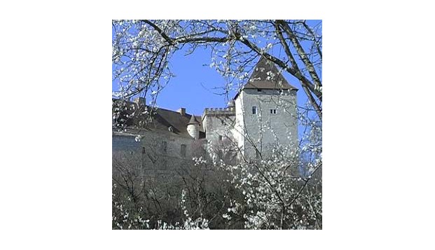 hotel Château de Goudourville Goudourville (82)