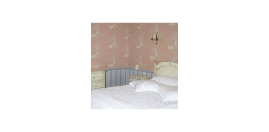 Hostellerie du Maine Brun  - 