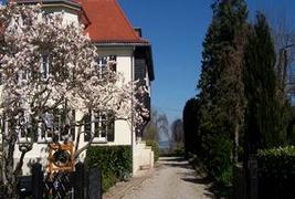 La Tirelire - 