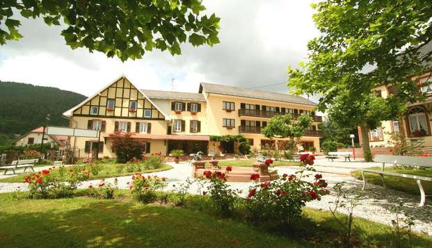 hotel Parc Hôtel - WangenbourgWangenbourg (67)