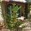 hotel Le Ranquet Tornac (30)