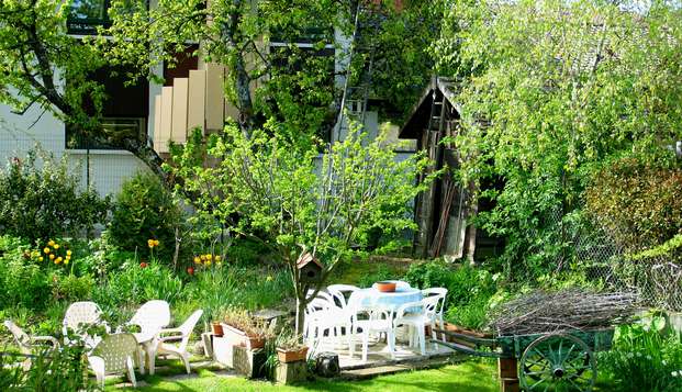 hotel Auberge d'AnthyAnthy sur Leman (74)