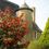 hotel Manoir des Forges - Saint Brice Saint Brice (53)