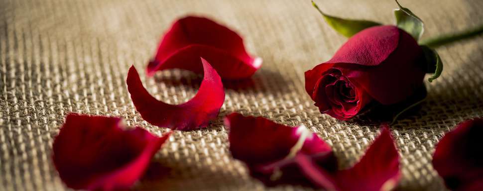 saint_valentin