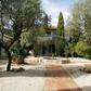 Hôtel Alba Flora_jardin