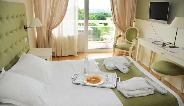 hotel Hôtel les Dryades Pouligny notre Dame (36)