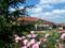 hotel Best Western Golf d'Albon Albon (26)