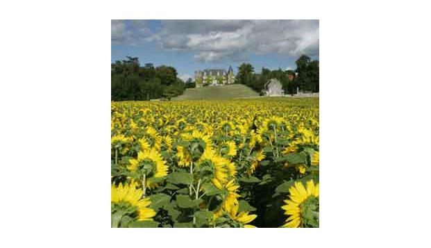 hotel Château de la CôteBrantôme (24)