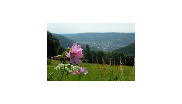 hotel La RésidenceLe Val d'Ajol