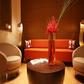 Lounge Lounge