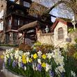 S&eacute;jour - Hôtel de La Verniaz et ses Chalets