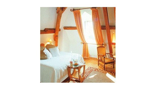 hotel Château de la tour du PuitsCoise St Jean (73)