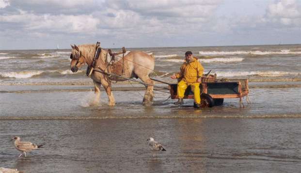 hotel Domein WesthoekOostduinkerke