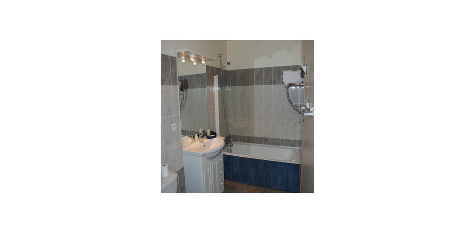 Le Cygne - 