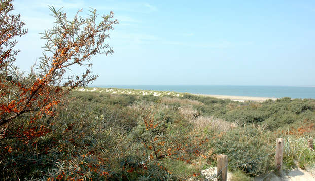 hotel Badhotel RenesseRenesse