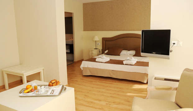 hotel Hôtel les Dryades Pouligny notre Dame (36)