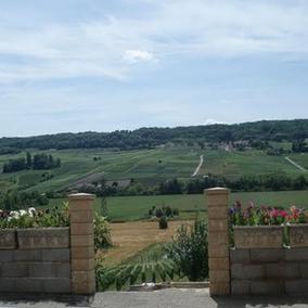 Domaine Bacchus_Jardin