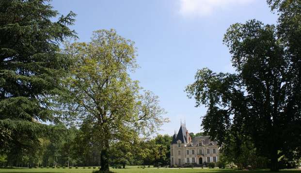 hotel Château de la CoutancièreBrain sur Allonnes