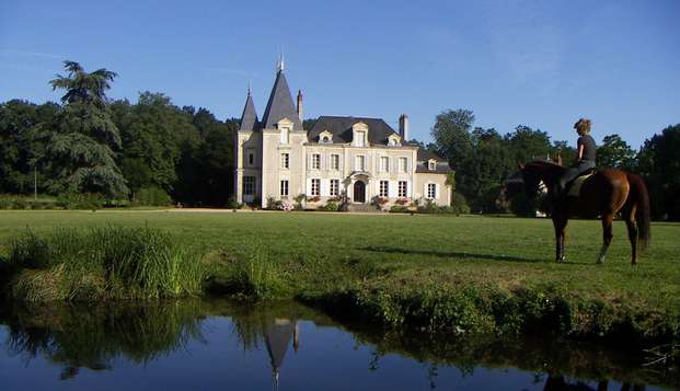 hotel Château de la CoutancièreBrain sur Allonnes