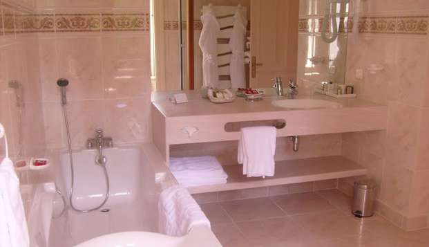 hotel Château Hôtel SavignySavigny-sous-Faye (86)