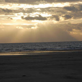Hôtel des Pins_Plage