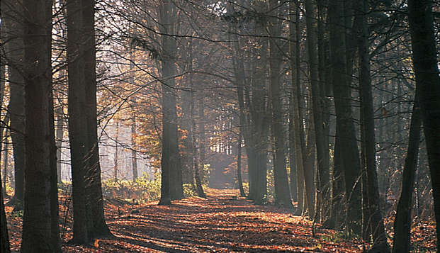 hotel Bilderberg Groot HeideborghGarderen