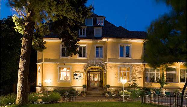 hotel Hôtel du Parc & Spa - ThannThann (68)