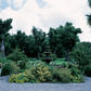 NH Marquette_Parc