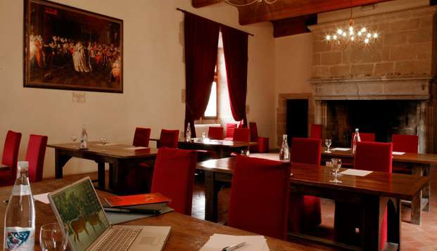 hotel Château des Ducs de JoyeuseCouiza (11)