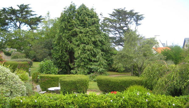 hotel Park Hôtel Bellevue Trégastel (22)