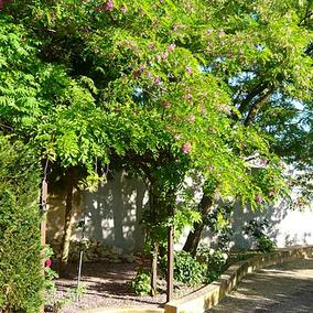 Clos Sainte-Marie_Jardin