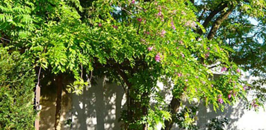 Clos Sainte-Marie - 