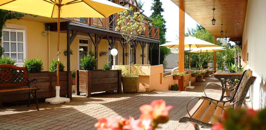 Clos Sainte-Marie - 