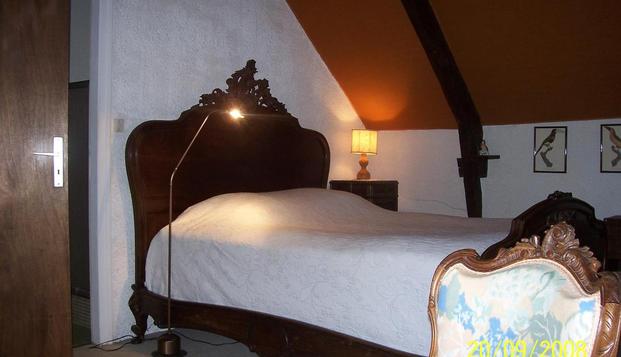 hotel Le Domaine de KerdrehanBrandivy (56)
