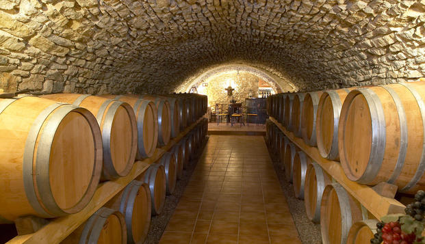 hotel Château Roumanières - Chambres d'hôtesGarrigues (34)