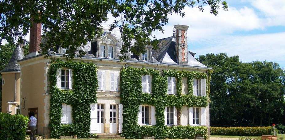 Château des Lutz - 