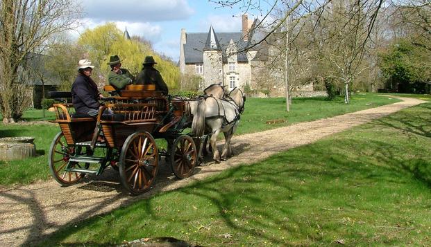 hotel Château des LutzDaon (53)