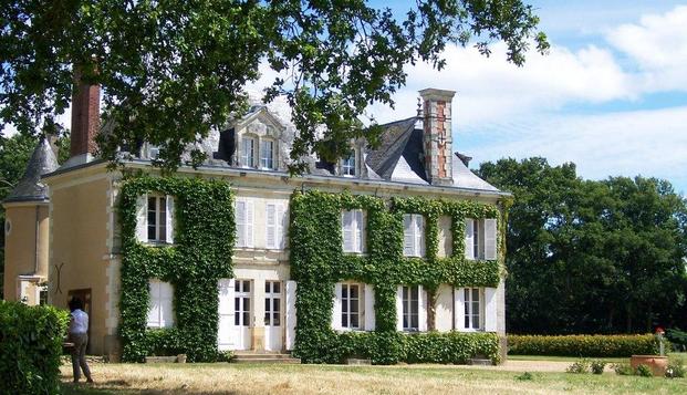 hotel Château des LutzDaon (53)