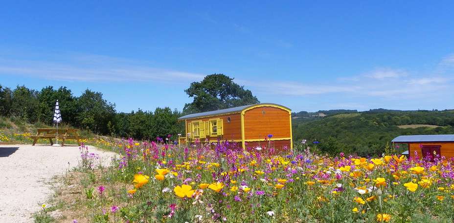 Les Roulottes des Korrigans - 