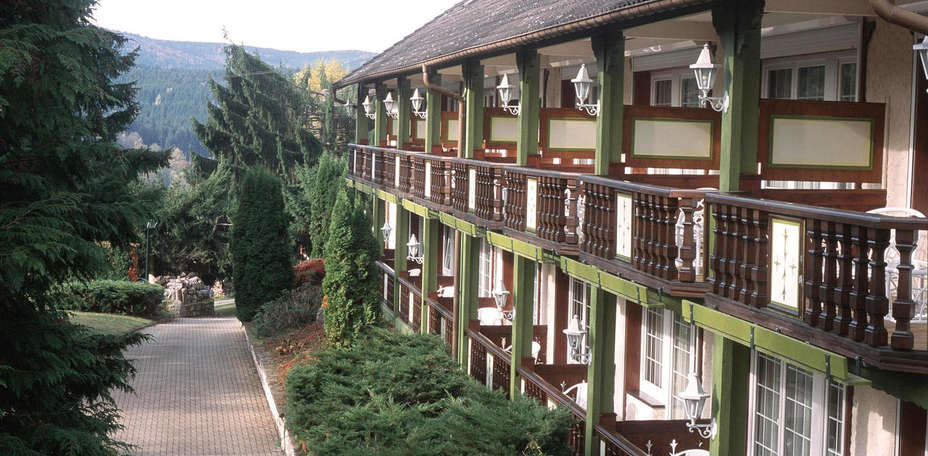 Hostellerie La Cheneaudière - 